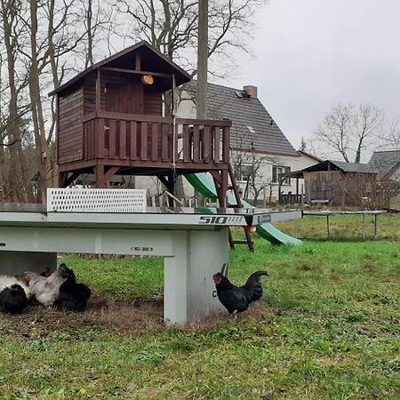 Zur Alten Jugendherberge Burg  Esterno foto