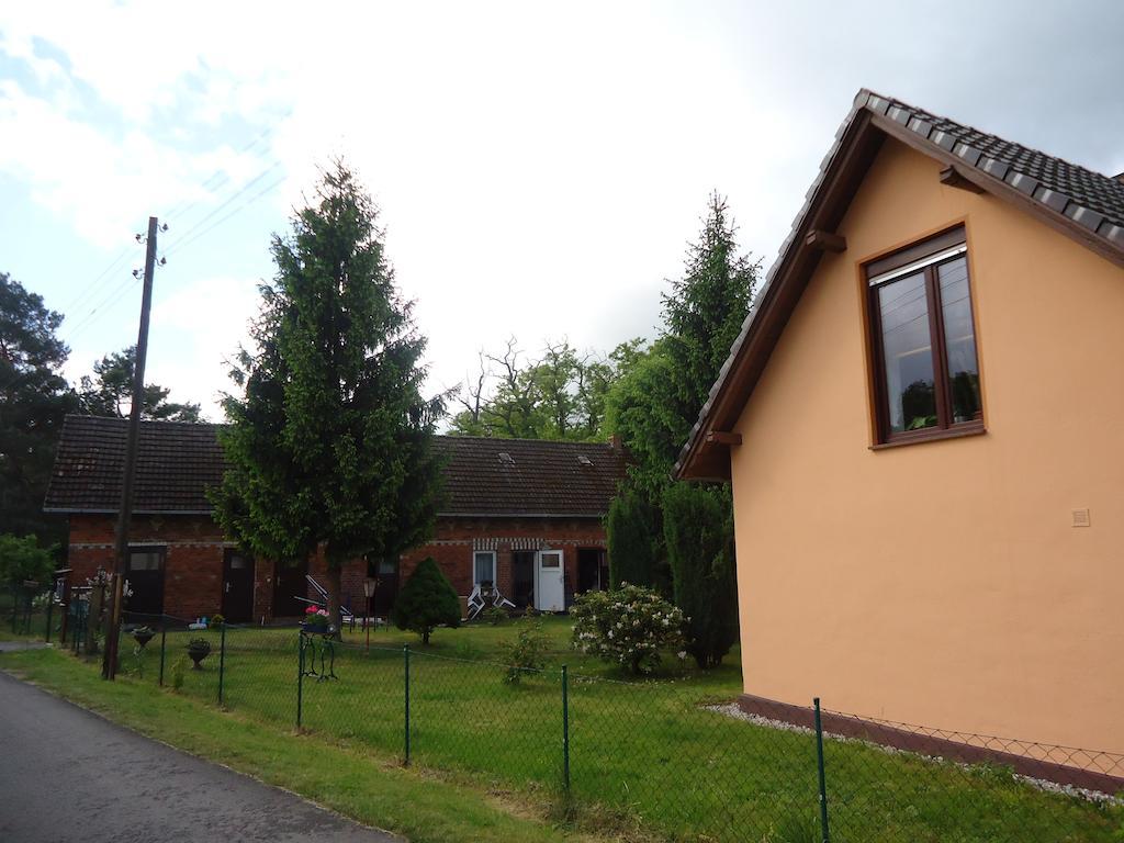 Zur Alten Jugendherberge Burg  Esterno foto